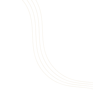 Chartered accountant in Pune